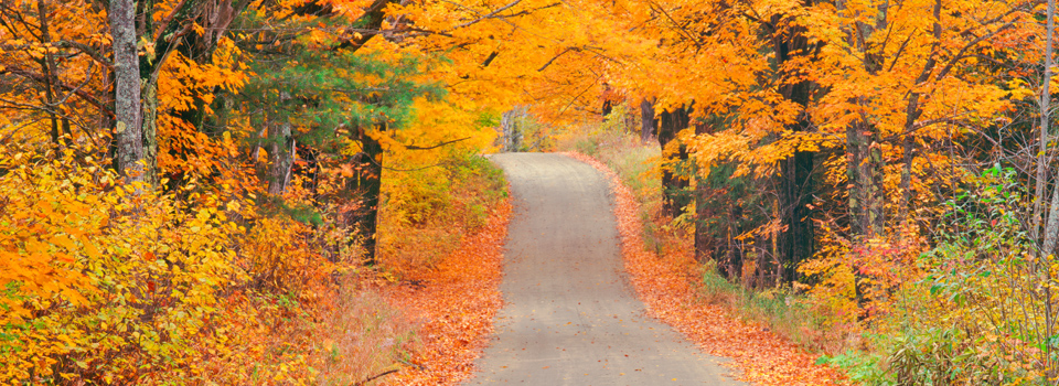 (slide 2 – autumn country road)